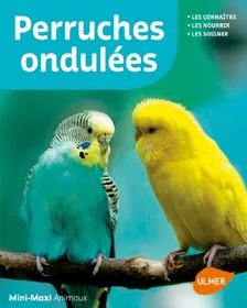 Comparer les prix de Perruches ondulées Nvelle éd. - Mini Maxi
