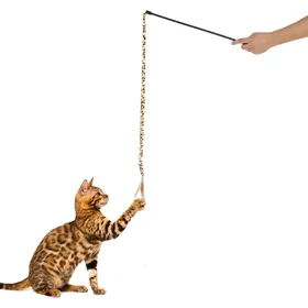 Meilleurs prix pour Canne à pêche Léopard pour chat Zolia