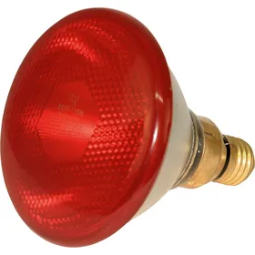 Comparer les prix de Lampe infrarouge économique Kerbl - rouge - 100 W