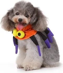Comparer les prix de collier Halloween Araignée Zolia Festive pour chien