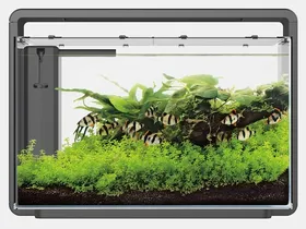 Meilleurs prix pour Aquarium SuperFish HOME 65 - 2 couleurs, 60l