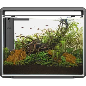 Comparer les prix de Aquarium Superfish HOME 85 Noir ou Blanc 80L