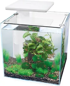 Meilleurs prix pour Aquarium Superfish Qubiq 30