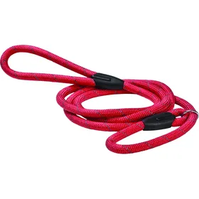 Comparer les prix de Laisse Lasso Walk Rouge Bobby