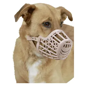 Meilleurs prix pour Kerbl Muselire (4, Chien, Sport canin), Collier + laisse