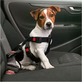 Comparer les prix de Harnais de sécurité pour voiture - Taille S / 35-50 cm pour chien