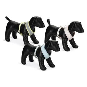 Comparer les prix de Beeztees Bronda (M, Chien, Promenade), Collier + laisse