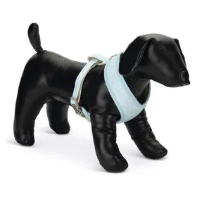Meilleurs prix pour Beeztees Harno (S, Chien, Promenade), Collier + laisse