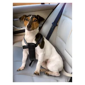 Comparer les prix de Karlie Harnais pour chien de voiture (Chien), Transport d'animaux