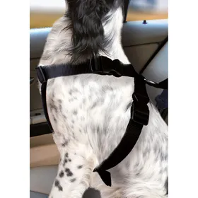 Comparer les prix de Karlie Flamant (Chien), Transport d'animaux