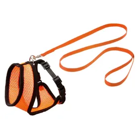Comparer les prix de Karlie Harnais et laisse pour chatons Nuisibles (S, Chat, Promenade), Collier + laisse