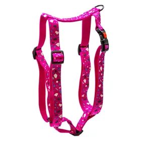 Comparer les prix de Karlie Linge de table avec motif imprimé Mix and Match (50, Chien, Promenade), Collier + laisse