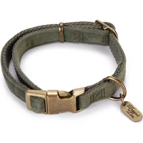 Meilleurs prix pour Designed by Lotte Velura (40, Chien, Général), Collier + laisse