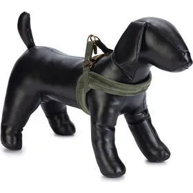 Comparer les prix de Designed by Lotte Velura (L, M, S, XS, XXS, Chien, Promenade), Collier + laisse