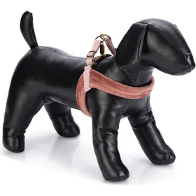 Meilleurs prix pour Designed by Lotte Velura (XS, Chien, Promenade), Collier + laisse