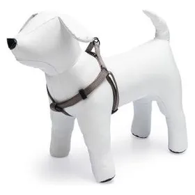 Comparer les prix de Karlie ASP+ Harnais 1-2-3 Step&Go (Chien, Général), Collier + laisse