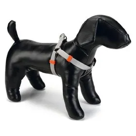 Meilleurs prix pour Beeztees BZ NY GESCH UNI GRIS CLAIR 46-75 (Chien, Gnral), Collier + laisse
