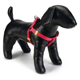 Comparer les prix de Beeztees BZ NYL HARNAIS UNI ROSE 35-60 (Chien, Gnral), Collier + laisse