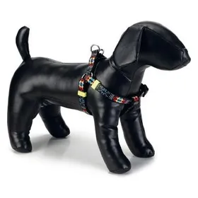 Comparer les prix de Beeztees BZ NYL HARNAIS MUCADI 35-60X1 (Chien, Gnral), Collier + laisse