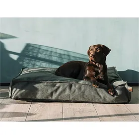 Meilleurs prix pour Couchage Chien - Fantail Eco matelas Stargaze Seaweed green - 80 x 55 cm