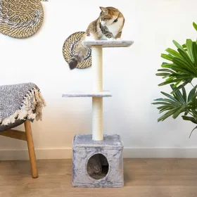Meilleurs prix pour Petit arbre à chat - 89 cm - Zolia Jojo