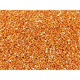 Meilleurs prix pour Millet rond rouge pour oiseaux - 20kg