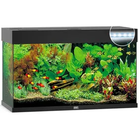 Meilleurs prix pour Aquarium JUWEL Rio 125 LED 