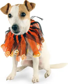 Meilleurs prix pour Collier Halloween Zolia Festive pour chien