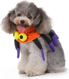 Comparer les prix de collier Halloween Araignée Zolia Festive pour chien