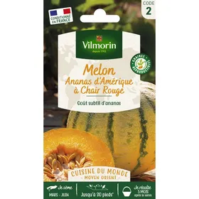 Comparer les prix de Sachet graines melon ananas-