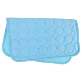 Comparer les prix de Pack De 2 Chiot Sac De Couchage Animaux Congélateur Tapis Pour Chien Auto De Refroidissement Reste