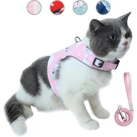 Meilleurs prix pour Ensemble Laisse et Harnais pour Chat Anti-évasionGilet réfléchissant réglable pour Animal de Compagnie espirante (XSRose)
