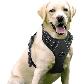 Meilleurs prix pour Harnais anti-traction chien réglable et réfléchissant - Tailles M/L Label