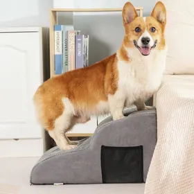 Meilleurs prix pour Escaliers pour Chiens et Chats Rampe pour Chiens 2 Marches Éponge Haute Densité Escalier pour Animaux Antidérapant Pour Monter