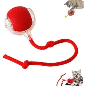Meilleurs prix pour Balle interactive pour chat jouet électrique rechargeable USB 3 modes travail .