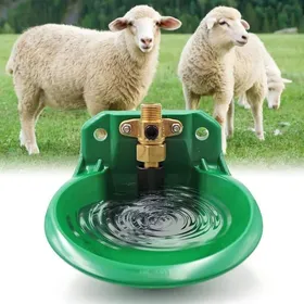 Meilleurs prix pour Abreuvoir pour moutons Abreuvoir pour bovins Abreuvoir automatique pour chèvres Distributeur deau de grande capacité Label