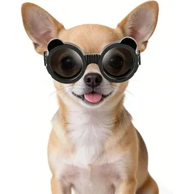 Meilleurs prix pour Eng Lunettes de soleil pour chien de petite race avec sangles réglables protection anti-UV pour chihuahua Panda Noir