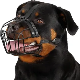 Meilleurs prix pour Museau Chien Réglable en Fil Métallique Durable pour Grands Chiens Sangles en Cuir Respirant Permet de Rottweiler PVC PVC MUSELIERE