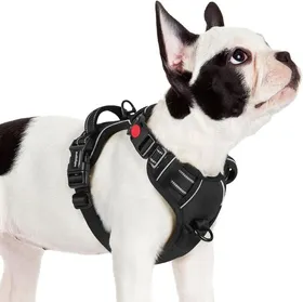 Meilleurs prix pour rabbitgoo Harnais Chien Anti Traction avec 3 boucles pour Chien Facile à Mettre Harnais Réfléchissant Réglable pour Chien Noir S