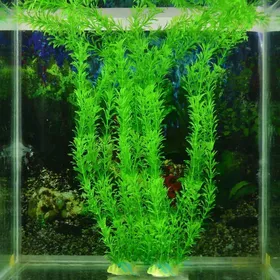 Meilleurs prix pour Plante artificielle - Non spécifié - Aquarium - Plastique - Vert - Décoration sécurisée pour poissons