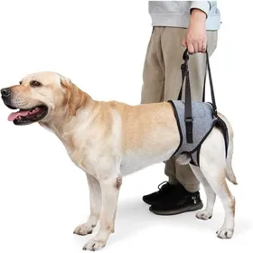 Meilleurs prix pour Harnais de Levage pour Chien – Harnais de Soutien pour Pattes arrière – Écharpe de Soutien Souple pour Chiens (L Gris) Étiquette