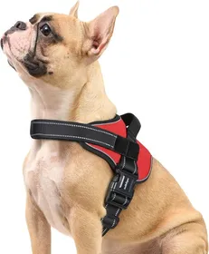 Meilleurs prix pour Harnais Chien Harnais Anti Traction pour Chien Réfléchissant Réglable Respirant Facile à Mettre avec Poignée Contrôle Rouge S