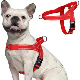 Meilleurs prix pour rabbitgoo Harnais Chien Anti Traction harnais pour petit chien Facile à Mettre Harnais Réglable avec Attache Devant S Rouge