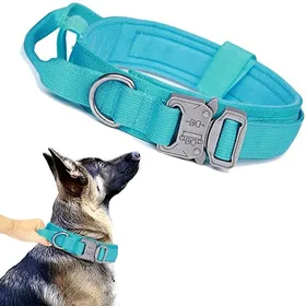 Meilleurs prix pour Ensemble laisse et collier pour chien - Phoesky - Métal tactique - Réglable - XL: 53-63 cm - Col bleu