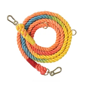 Meilleurs prix pour Laisse pour chien en corde laisse en coton laisse dentraînement pour chien randonnée camping