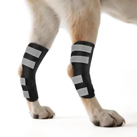 Meilleurs prix pour Genouillère pour Chien 2 Unités for Pattes Arrière avec Sangles RéfléchissantesXL