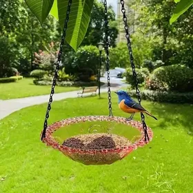 Comparer les prix de Mangeoire suspendue pour oiseaux - Virex® - Rose - Bol transparent - Bord ondulé - Chaîne métallique résistante