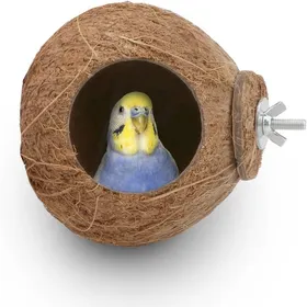 Meilleurs prix pour Nid de reproduction pour oiseaux de compagnie balançoire et échelle en noix de coco jouet suspendu pour oiseaux