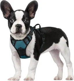 Meilleurs prix pour rabbitgoo Harnais Chien S Arnais Vert Foncé Anti Traction Réfléchissant Gilet Réglable pour Chien Attache Devant Crochet de Laisse