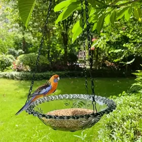 Comparer les prix de Mangeoire suspendue pour oiseaux - Virex® - Gris - Bol transparent - Bord ondulé - Chaîne métallique résistante